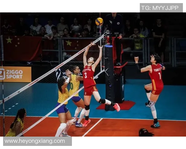 赛后分析：上海排球队与北京排球队实力对比及比赛亮点解读