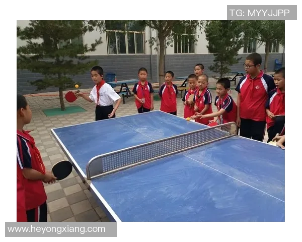 重庆乒乓球队的节奏与激情探秘乒乓球运动的魅力与发展