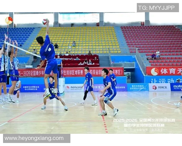 重庆排球队实力强劲荣登全国排球力量排行榜第七名