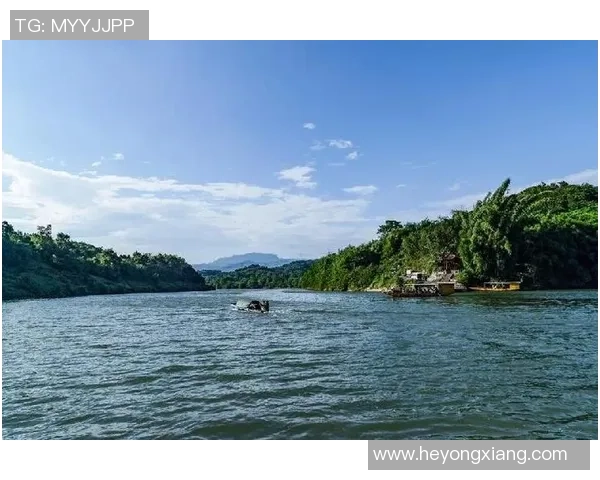 重庆篮球队的崛起之路：揭秘他们背后的力量与激情