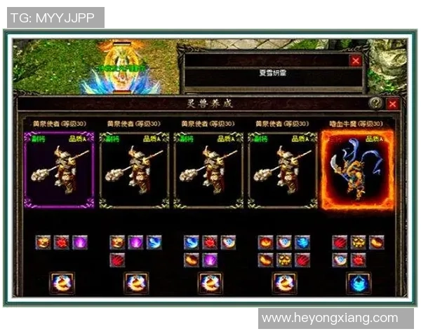 陈芳专访：从青涩球员到篮球传奇的成长之路回顾