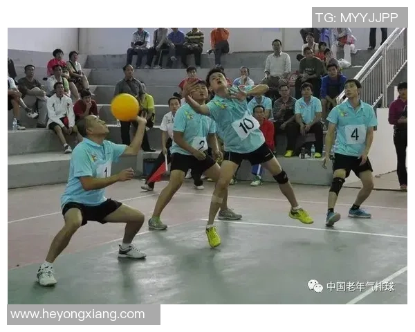 杭州排球队在城市联赛中的状态分析与表现评估